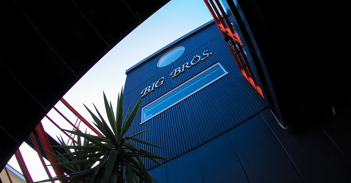 Blue corrugated building with 'BIG BROS.' sign, viewed from between dark structures, with a spiky plant in the foreground and red railings.